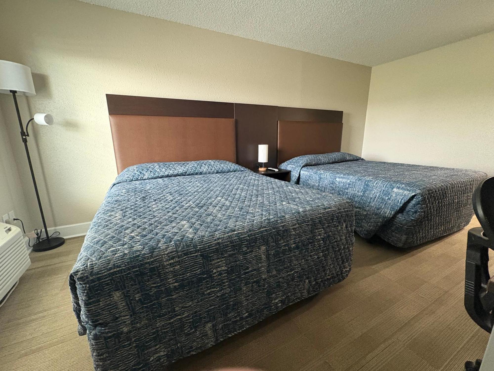 Larose Gators Inn On The Bayou מראה חיצוני תמונה